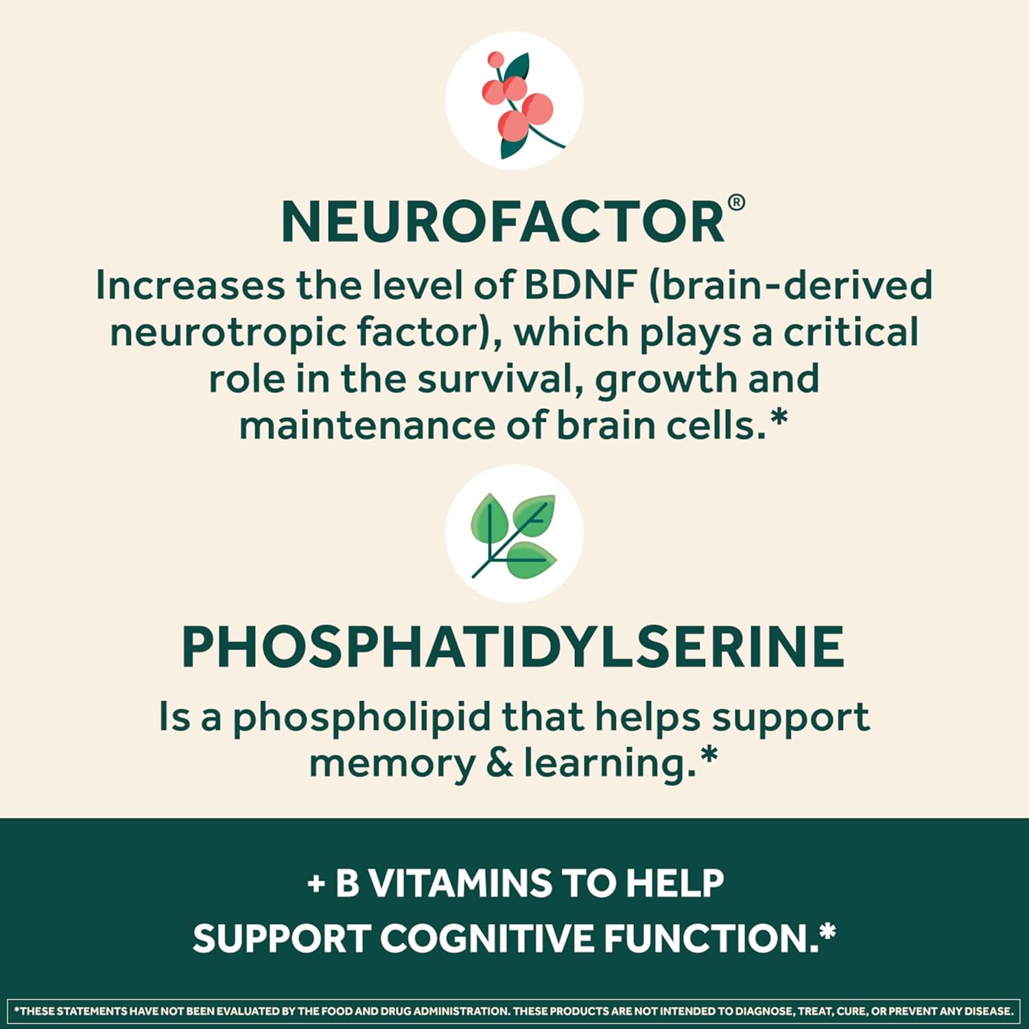 NEURIVA Plus Brain Supplement